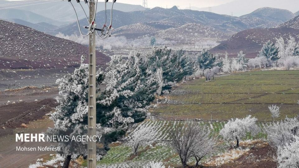 طبیعت کریستالی