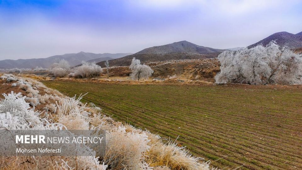 طبیعت کریستالی