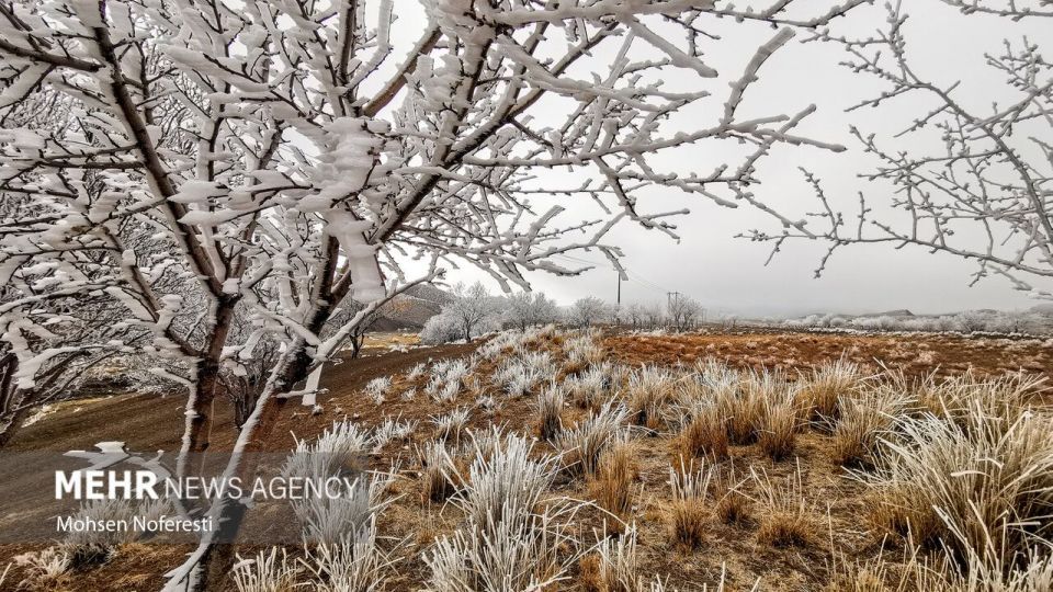 طبیعت کریستالی