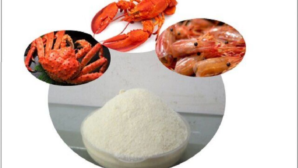 تولید دو ماده دارویی وارداتی از سوی محققان کشور/ حمایت هم‌سرمایه‌گذاری برای استارت‌آپ‌ها