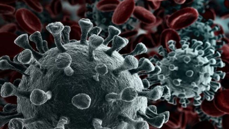 مبتلایان به کرونا ایمنی طولانی مدتی در مقابل سویه های جدید دارند