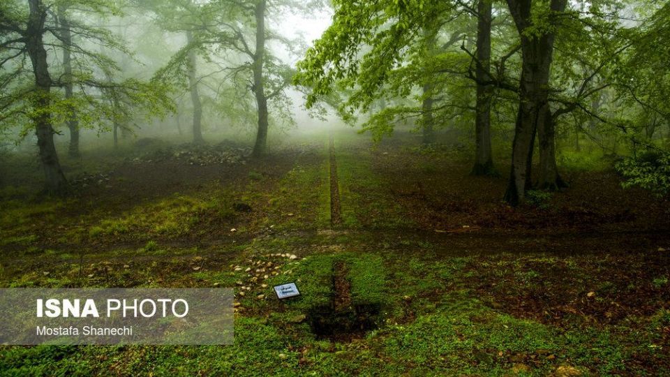 مسافران نوروزی منطقه گردشگری عباس آباد بهشهر
