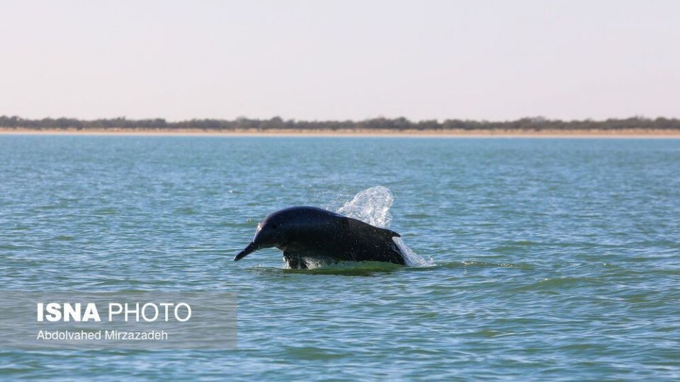 «چابهار» سرزمین عجایب