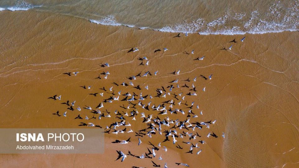 «چابهار» سرزمین عجایب