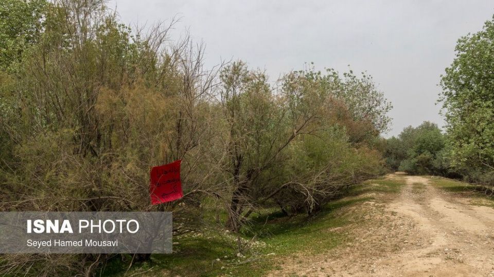 پارک ملی کرخه در ایام نوروز