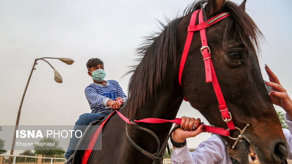 سوار بر اسب «آرزوها»