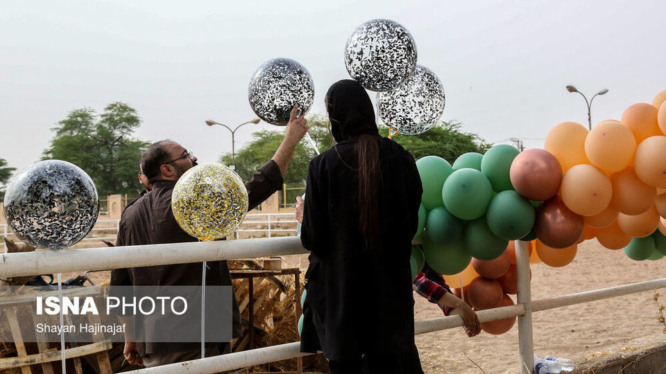 سوار بر اسب «آرزوها»