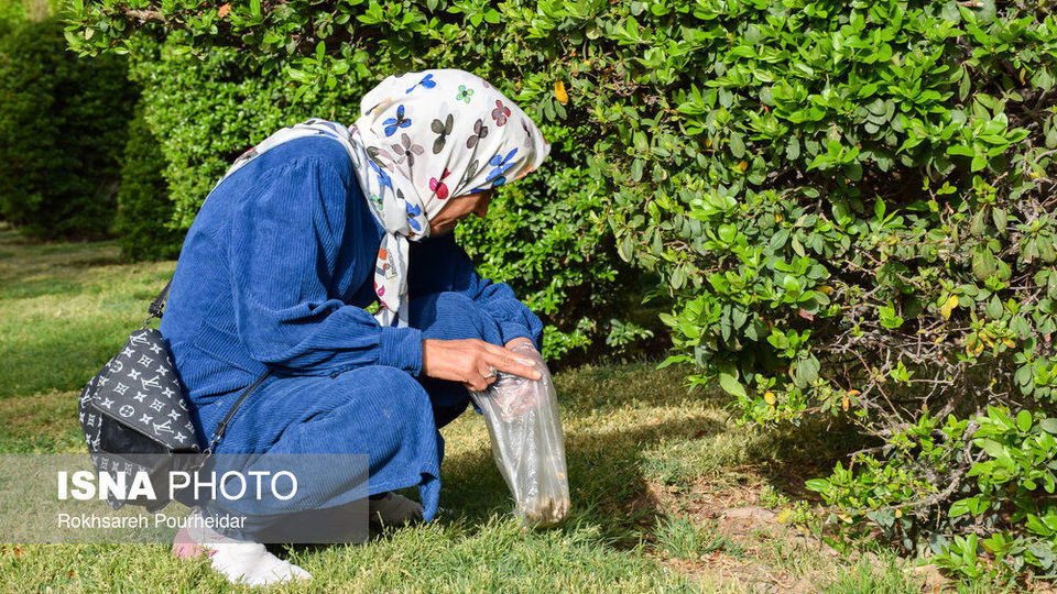 اجرای پویش نه به ته سیگار در اصفهان