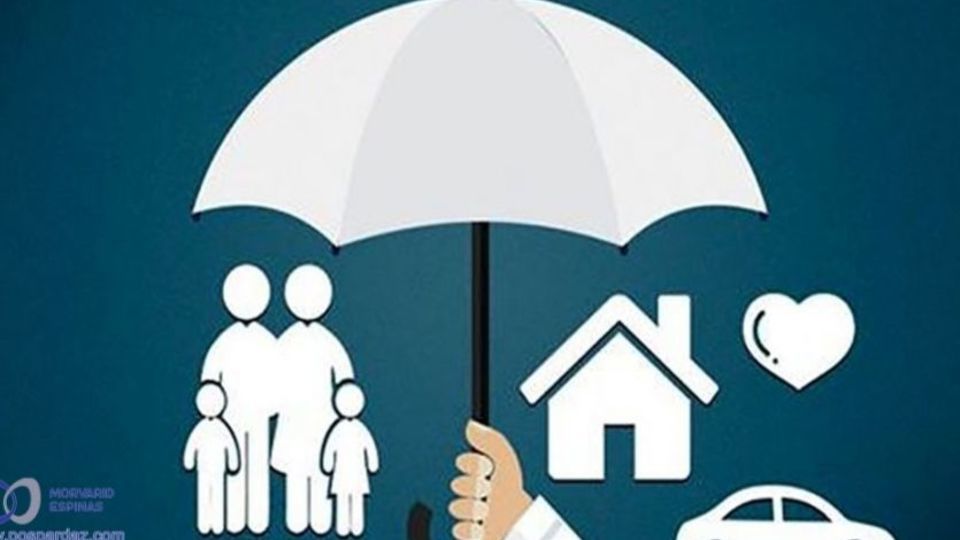 سیاستهای فقر زدا سیاستهای فقر زدا