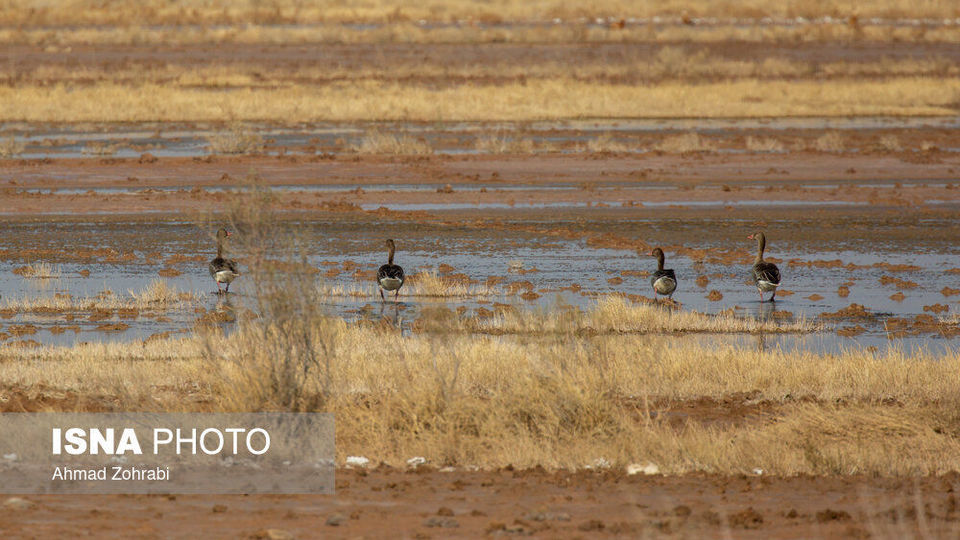 طبیعت گردشگری قم