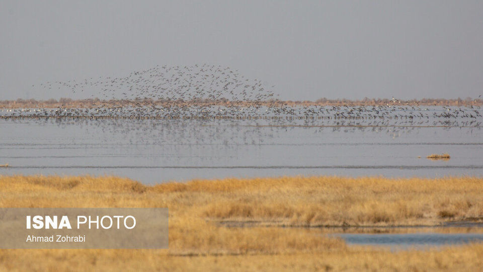 طبیعت گردشگری قم