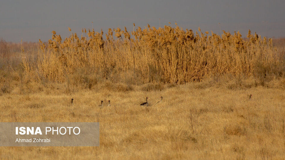 طبیعت گردشگری قم