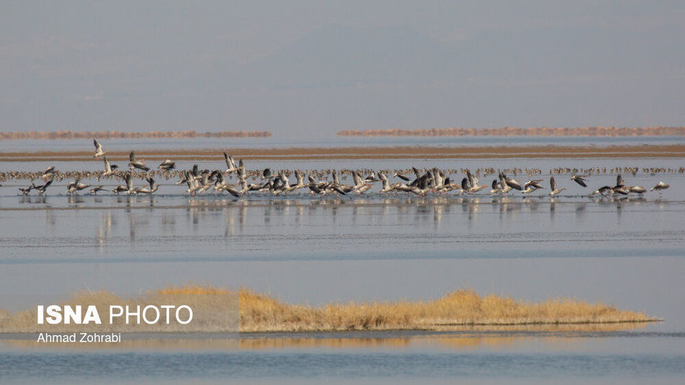 طبیعت گردشگری قم