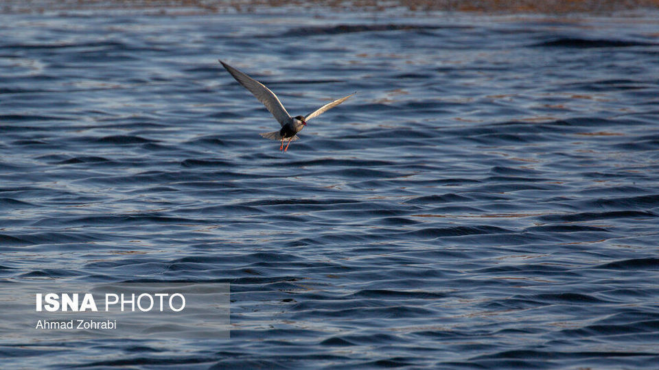 طبیعت گردشگری قم