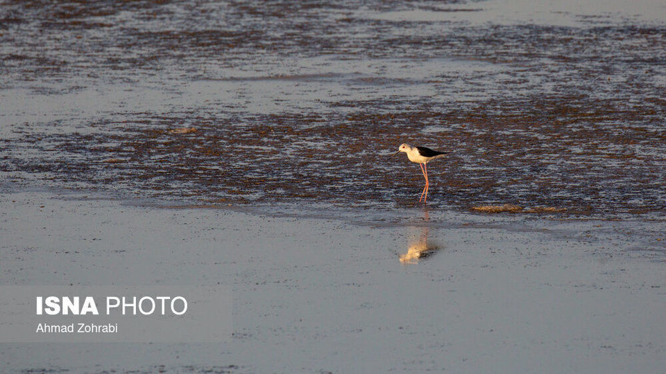 طبیعت گردشگری قم