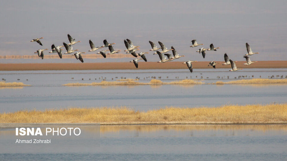 طبیعت گردشگری قم