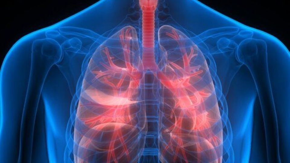 سازمان غذا و دارو: کمبود اسپری تنفسی نداریم