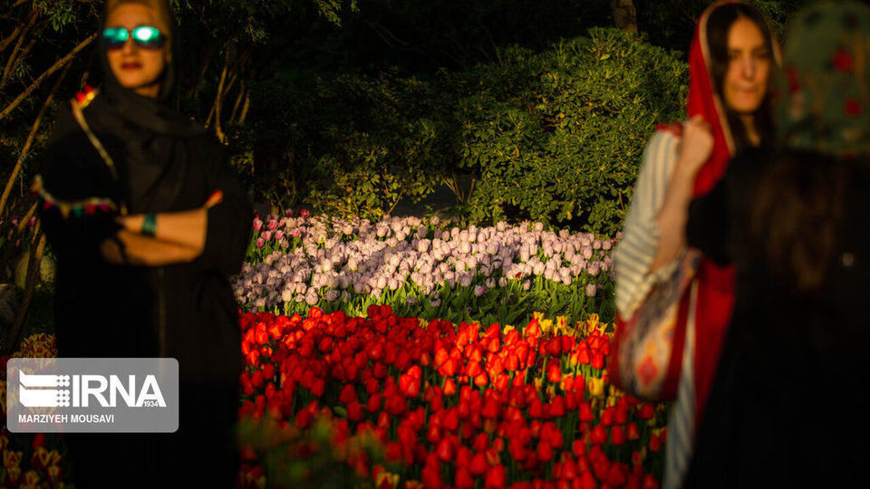 اینجا بهشت لاله‌هاست/ زیباترین لاله‌های جهان را در این منطقه از تهران ببینید