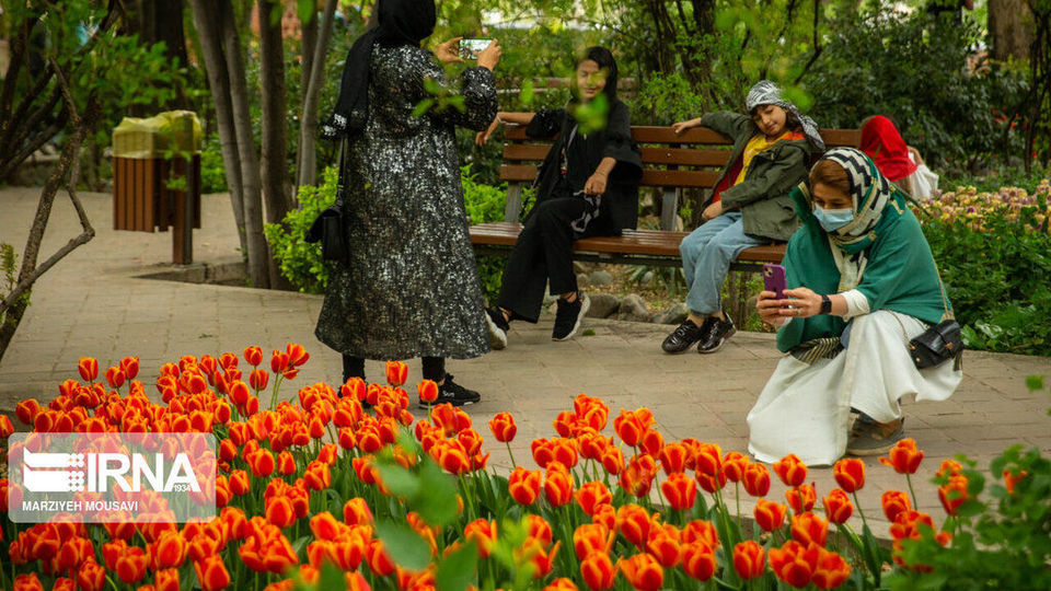 اینجا بهشت لاله‌هاست/ زیباترین لاله‌های جهان را در این منطقه از تهران ببینید