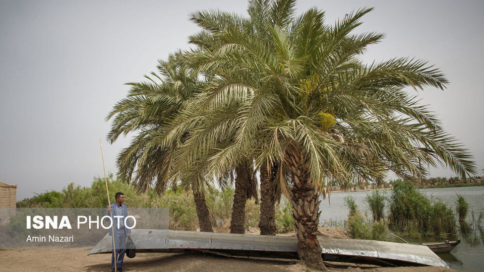 قایقی به سوی مدرسه