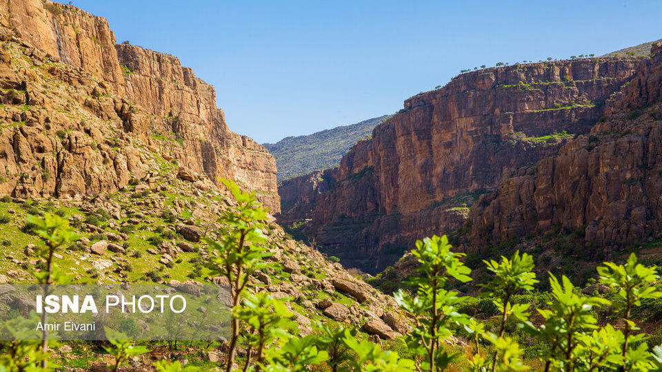 طبیعت «دالاهو وریجاب»