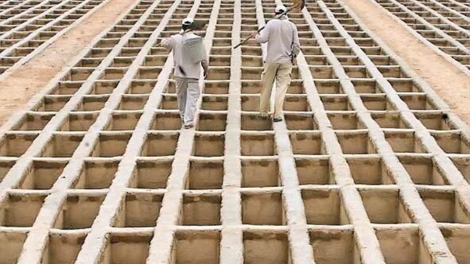 خرید «قبر» در بهشت زهرا (س) تهران چقدر تمام می‌شود؟  