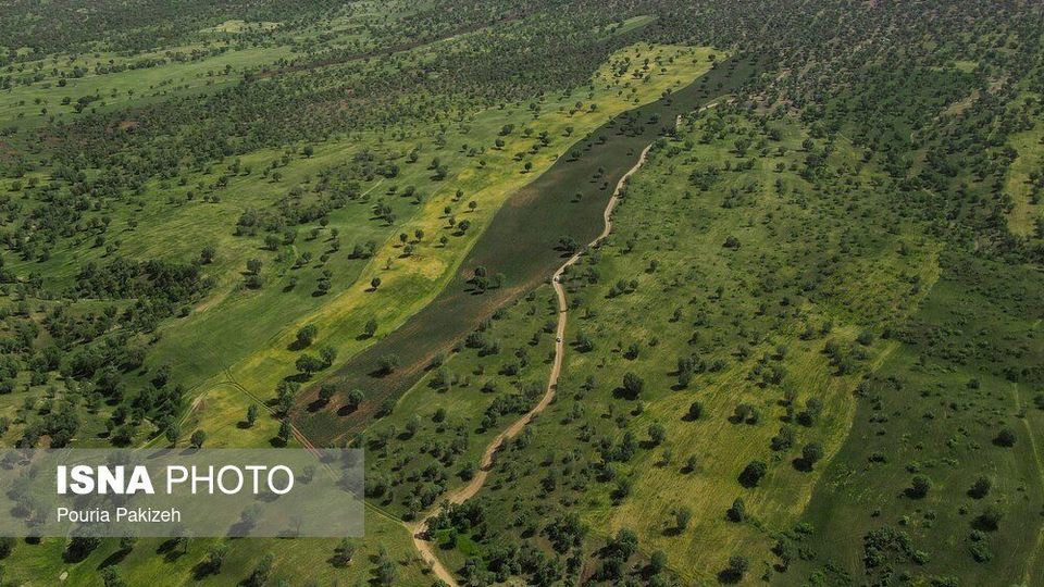 تنگه «شیرز»