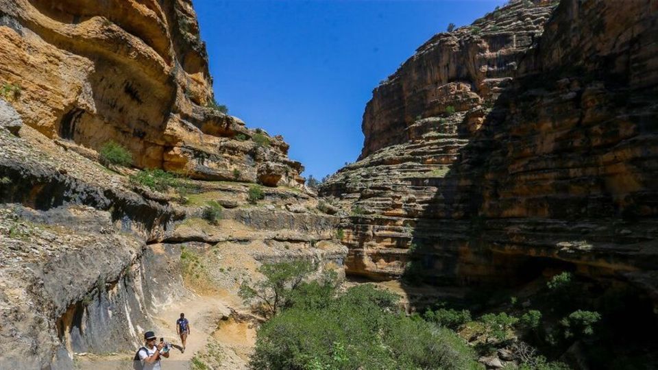 تنگه «شیرز»