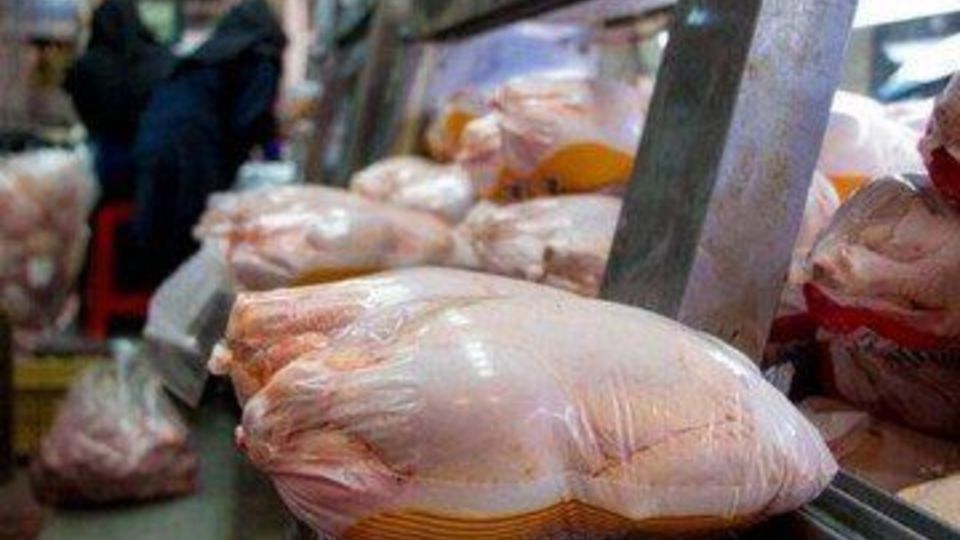 رکود در بازار مرغ ارتباطی به قدرت خرید مردم ندارد