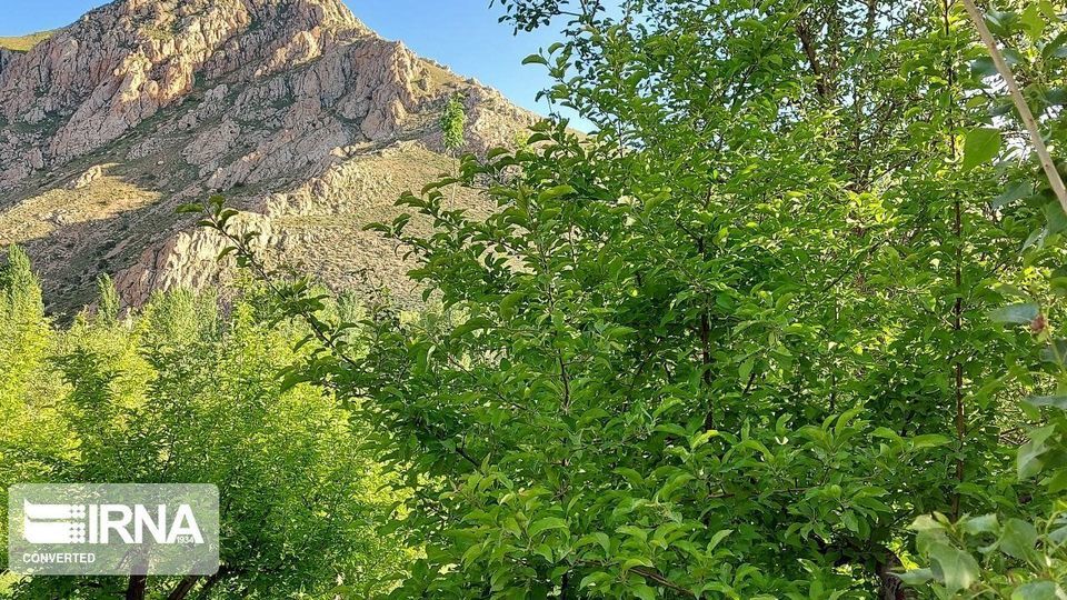 تفرجگاه ازناو خلخال