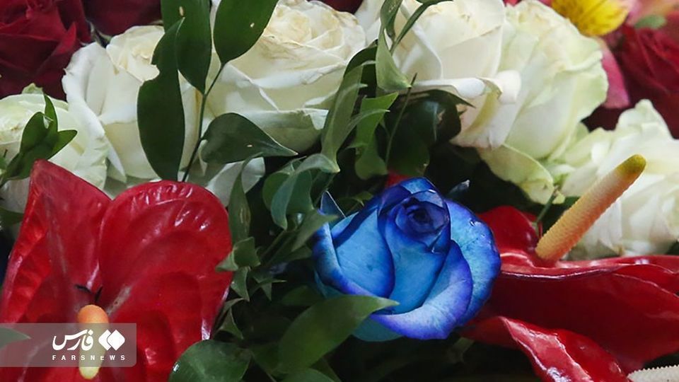 گل آرایی ضریح مطهر ‌حضرت معصومه(س) 