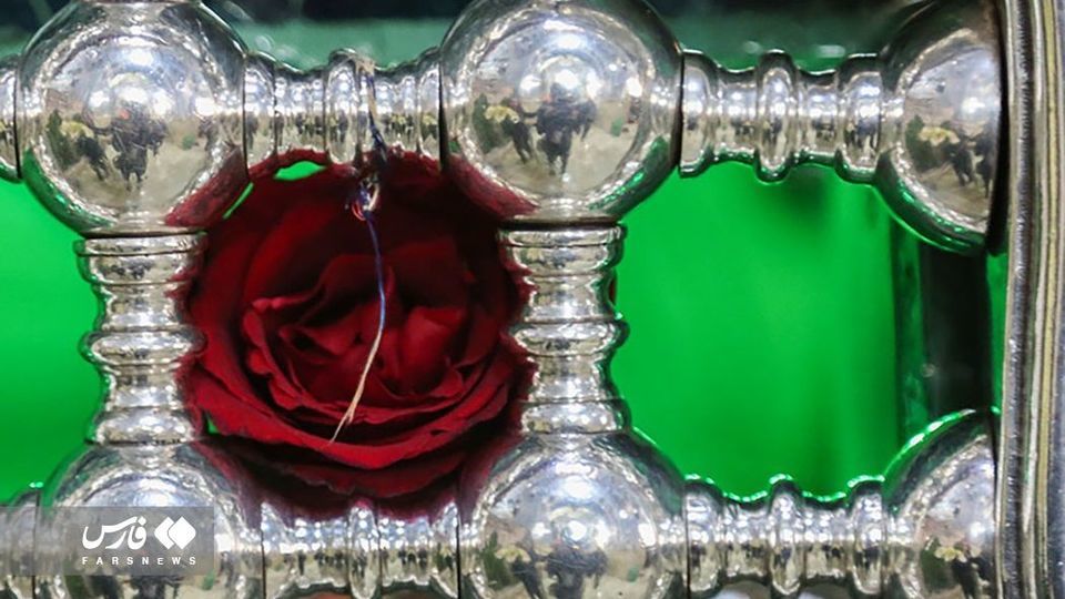 گل آرایی ضریح مطهر ‌حضرت معصومه(س) 