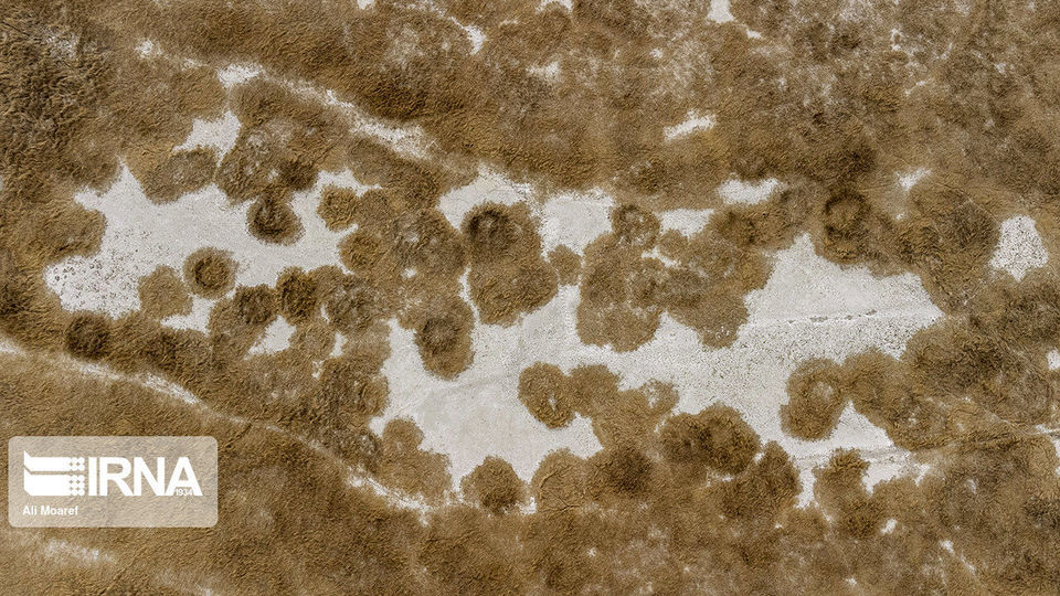 هورالعظیم در آستانه نابودی