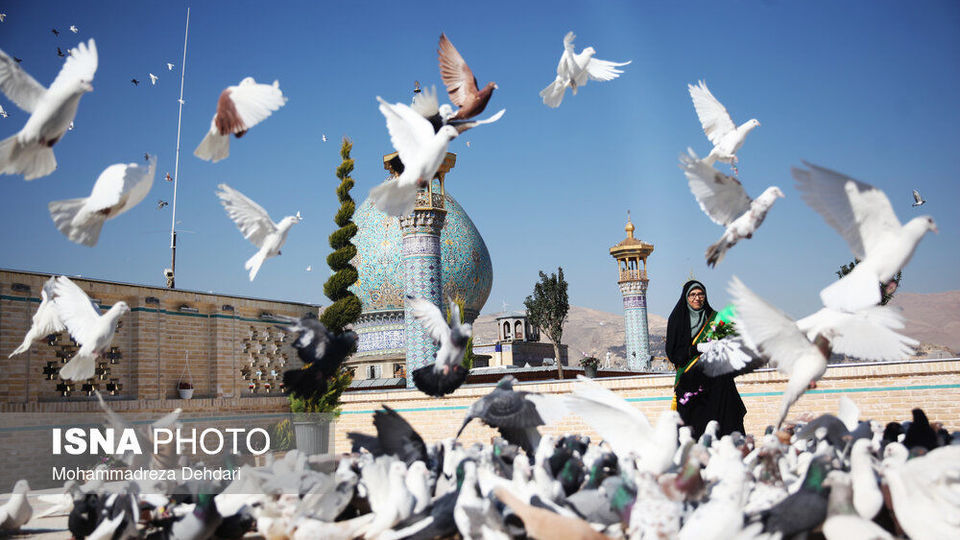 «شاهچراغ» - سومین حرم اهل بیت