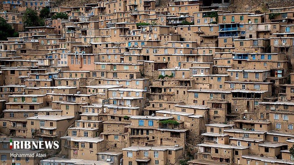 آغاز برداشت گیلاس در کردستان