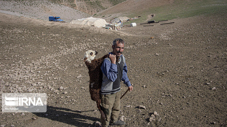 زندگی در دل طبیعت