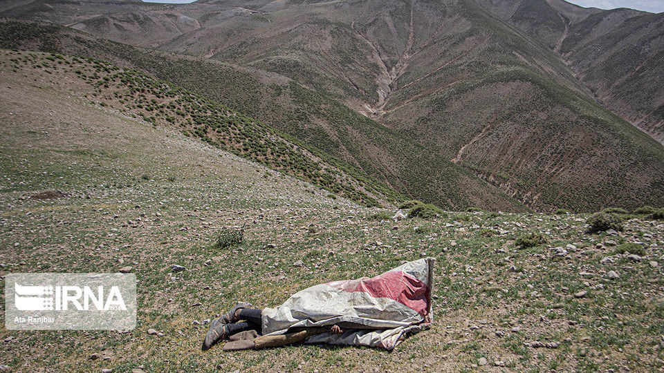 زندگی در دل طبیعت