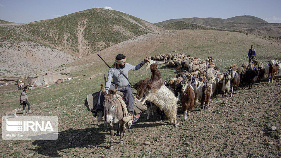 زندگی در دل طبیعت