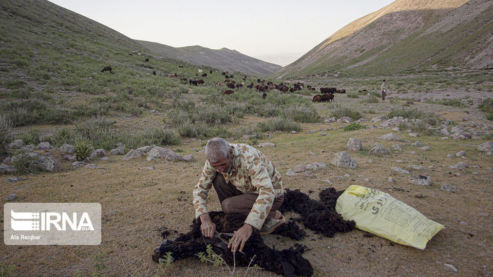زندگی در دل طبیعت