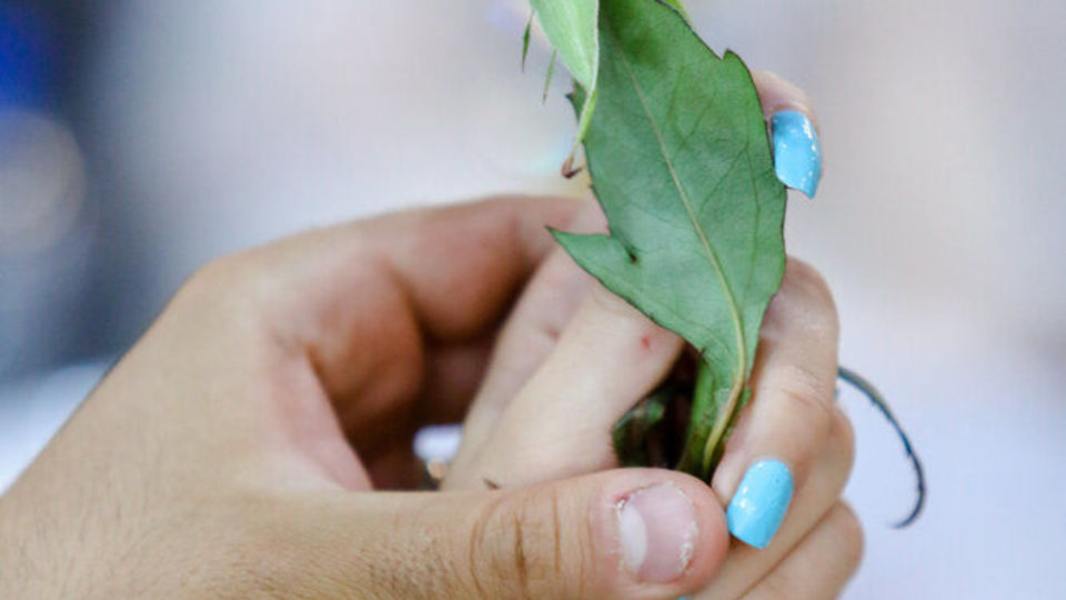 جشن ازدواج دانشجویی دانشگاه افسری امام علی (ع)