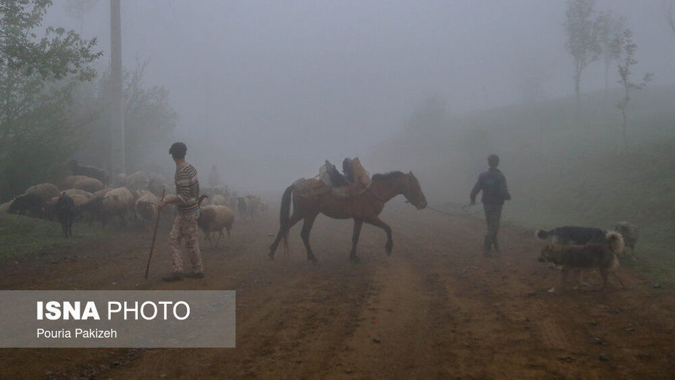 طبیعت بهاری «سیاهکل»