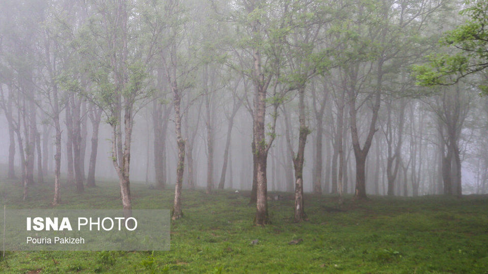 طبیعت بهاری «سیاهکل»