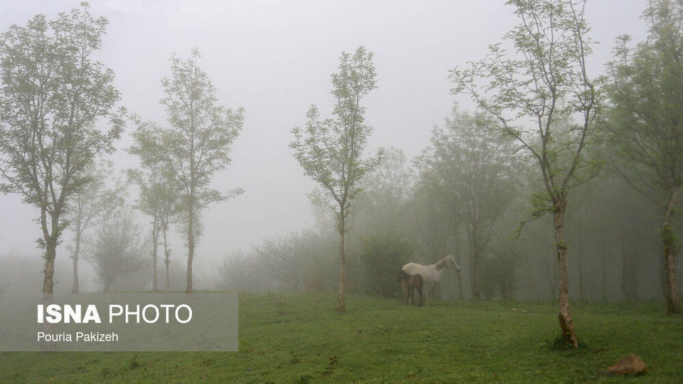 طبیعت بهاری «سیاهکل»