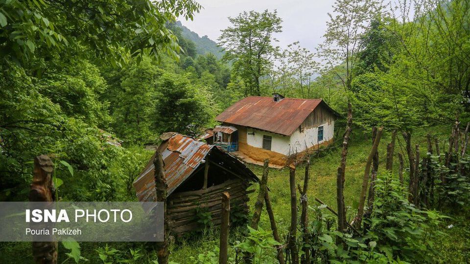 طبیعت بهاری «سیاهکل»