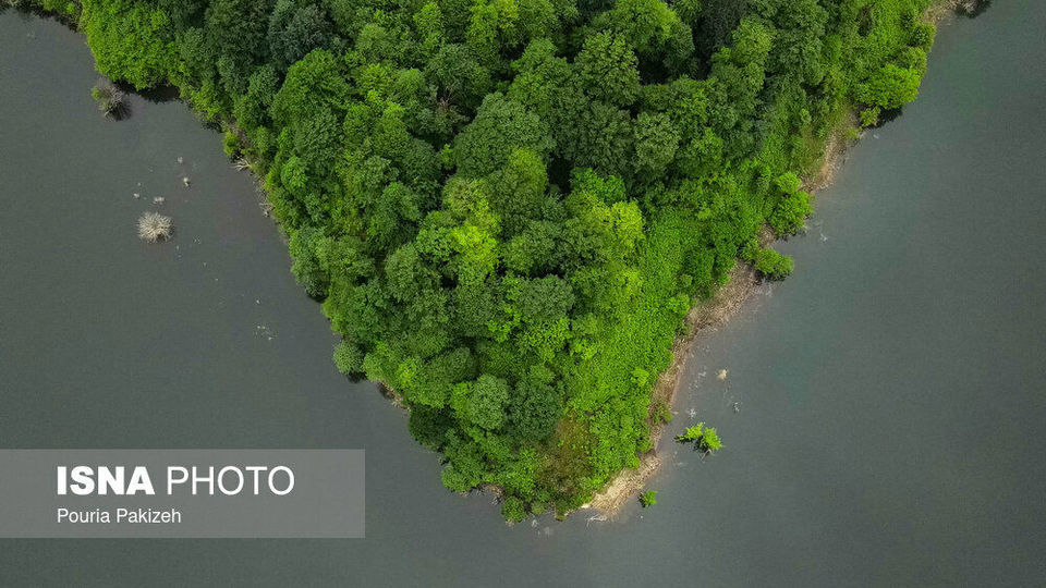 طبیعت بهاری «سیاهکل»