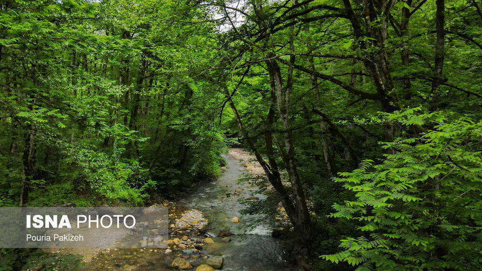 طبیعت بهاری «سیاهکل»