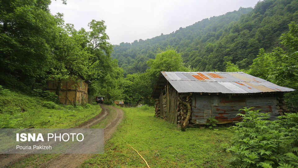 طبیعت بهاری «سیاهکل»