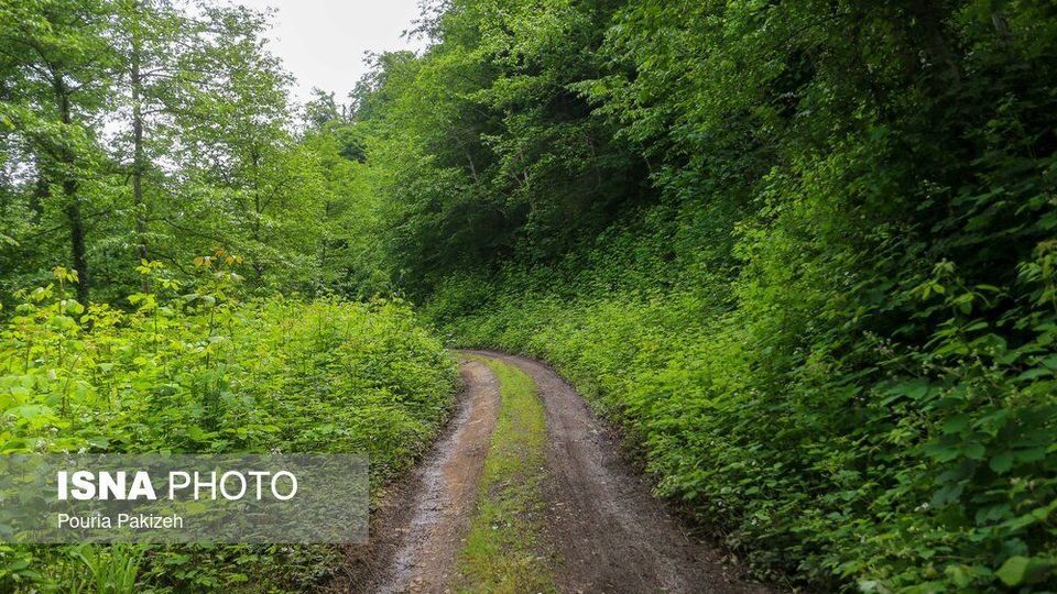 طبیعت بهاری «سیاهکل»