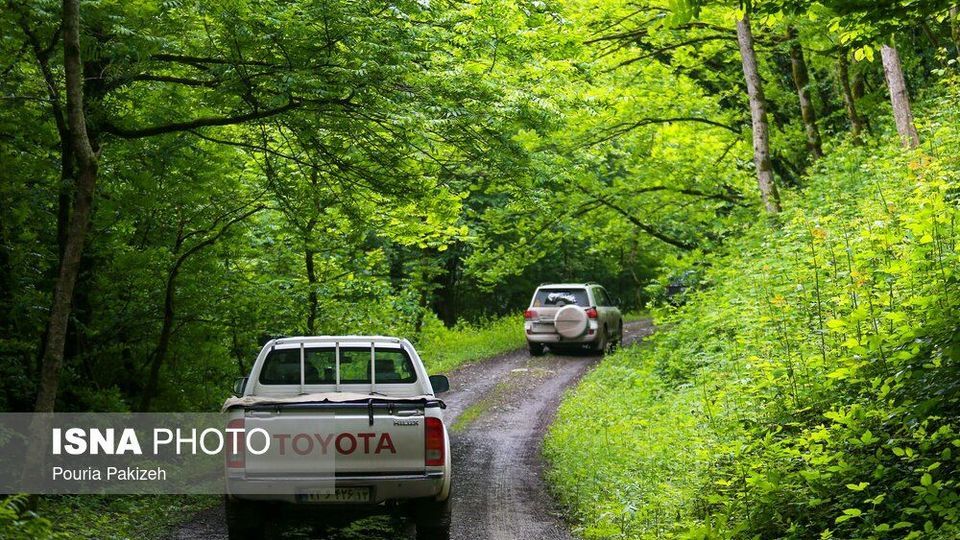 طبیعت بهاری «سیاهکل»