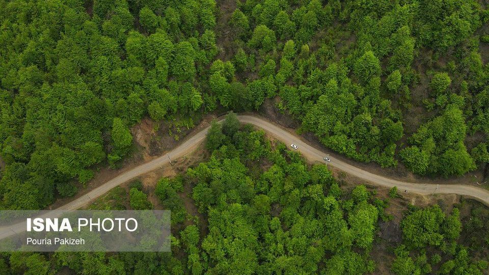 طبیعت بهاری «سیاهکل»